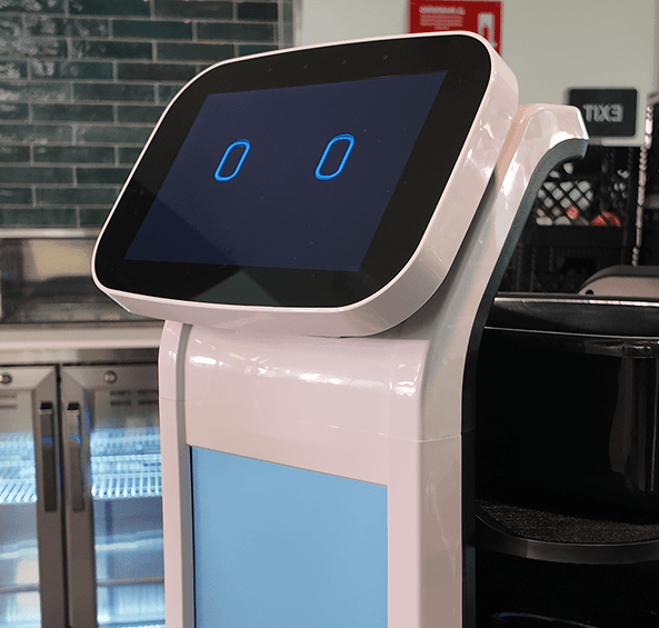 matradee plus head unit