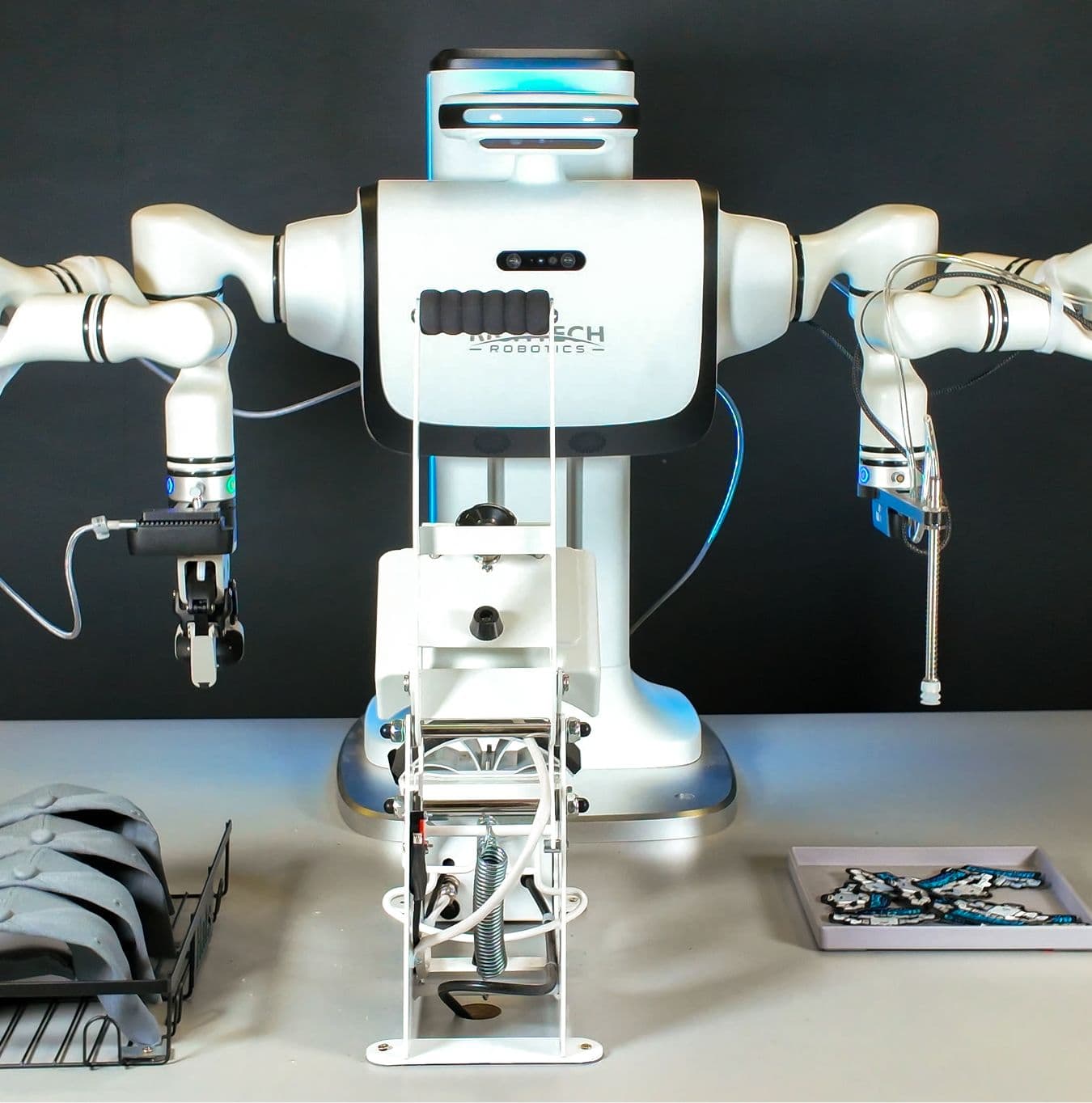 Dex Tech Header Dex: Next-Gen Industrial Humanoid Robot | Richtech Robotics - Richtech ...